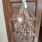 Fattoria Adriatica Porto Sant'Elpidio