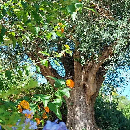 Fattoria Adriatica Порто-Сант'Эльпидио