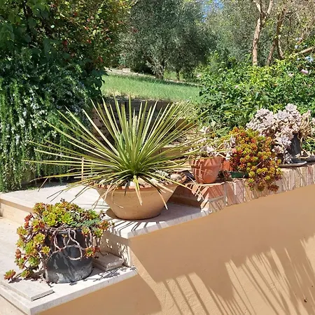 Fattoria Adriatica 公寓 *