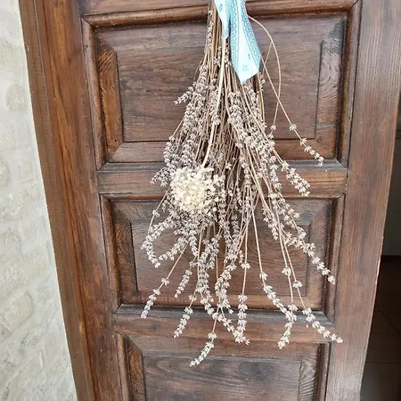Fattoria Adriatica Сант-Эльпидио-а-Маре