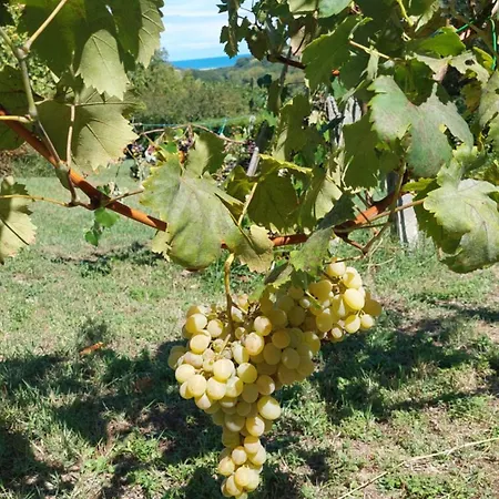 Fattoria Adriatica Апартаменты