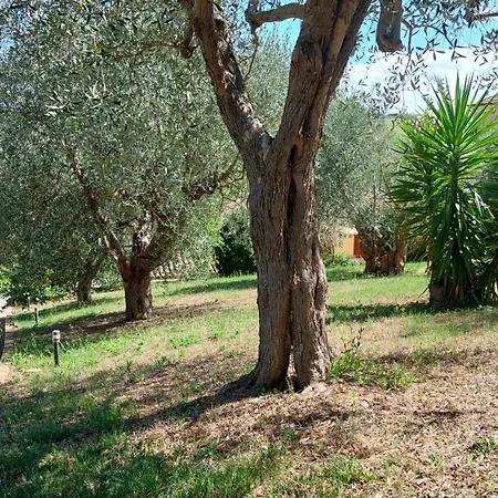 公寓 Fattoria Adriatica