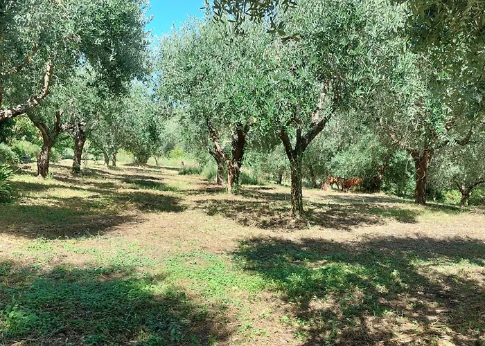 Fattoria Adriatica 公寓 Porto SantʼElpidio