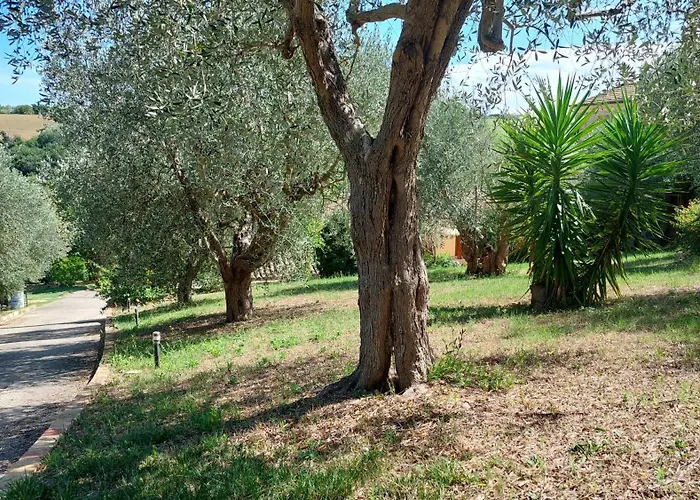 Apartment Fattoria Adriatica